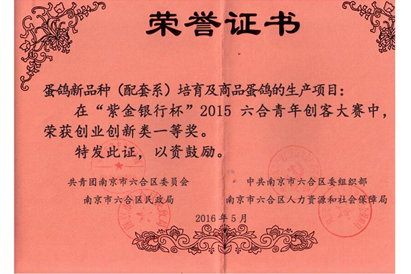 “紫金銀行杯”創(chuàng)業(yè)創(chuàng)新類(lèi)一等獎(jiǎng)